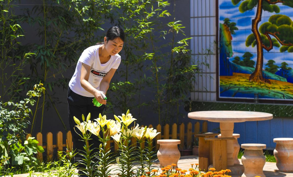 家庭养花用生根粉