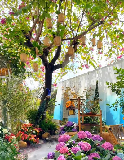 家庭养花用生根粉