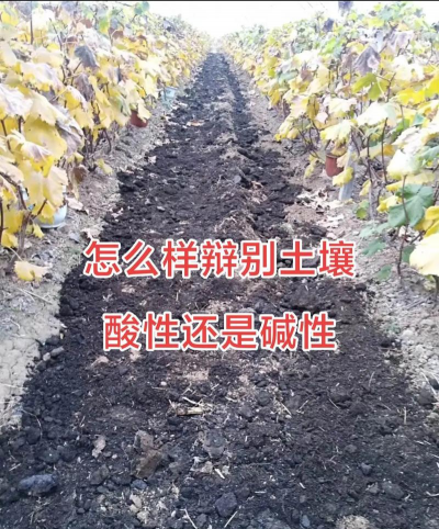 怎么做弱酸性土壤