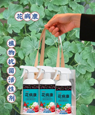 家庭养花用生根粉