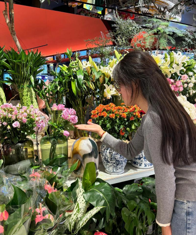 家庭养花用生根粉