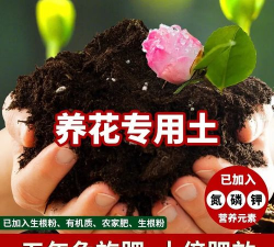 家庭养花用生根粉