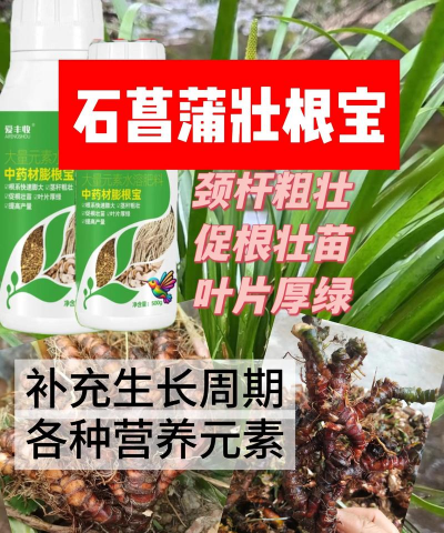 家庭养花用生根粉