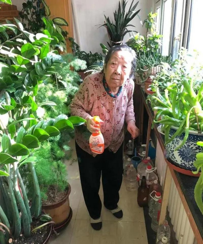 家庭养花用生根粉