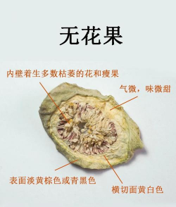 无花果怎么样催果成熟