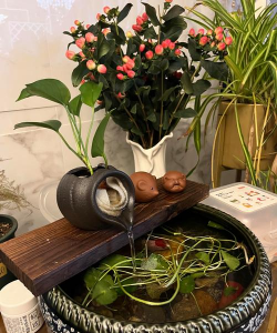 家庭养花用生根粉