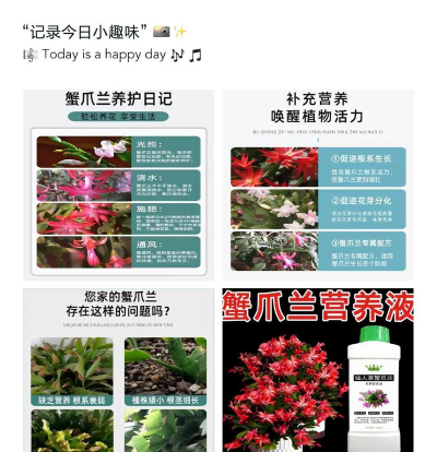 家庭养花用生根粉