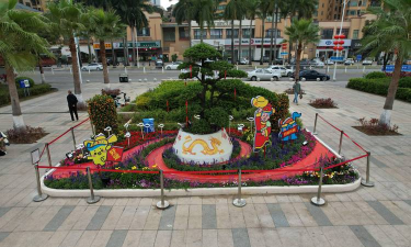 家庭养花用生根粉