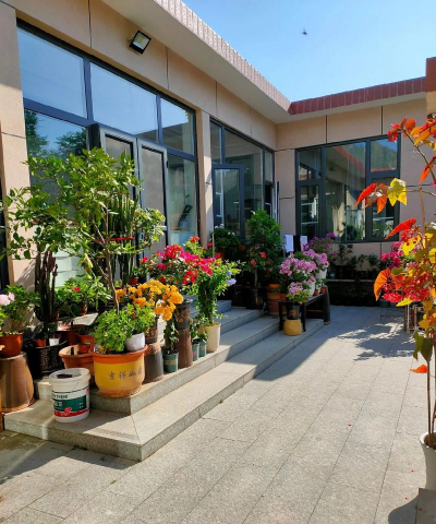 家庭养花用生根粉