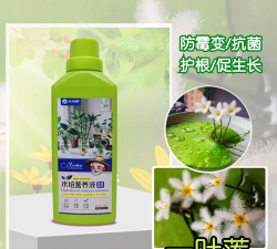 家庭养花用生根粉