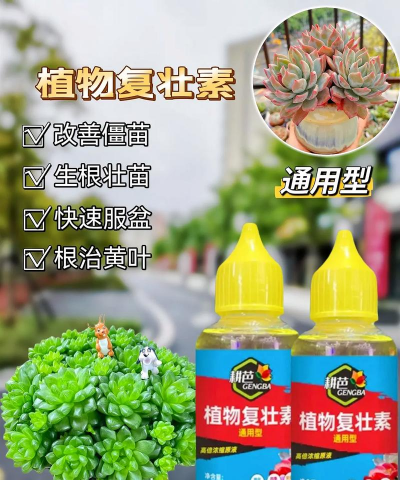 家庭养花用生根粉