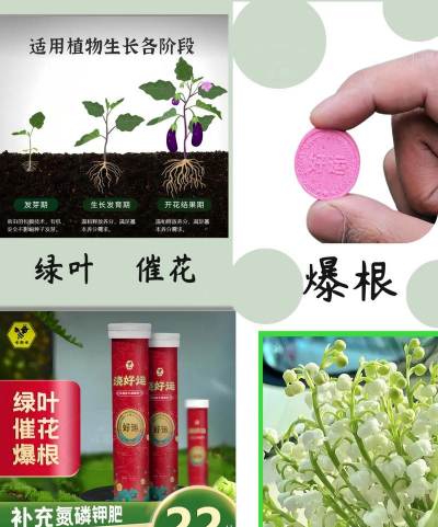 家庭养花用生根粉