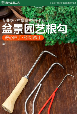 家庭养花用生根粉