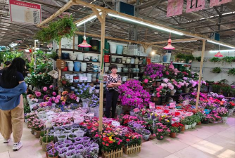 家庭养花用生根粉