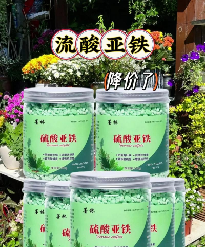 家庭养花用生根粉