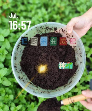 家庭养花用生根粉