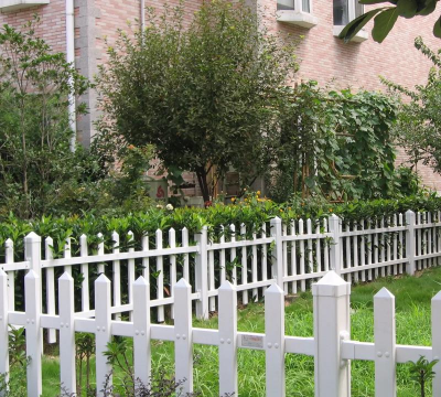 小院围栏上养花