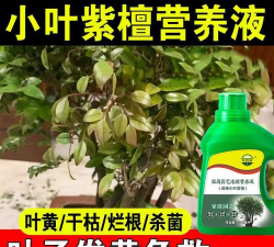 家庭养花用生根粉