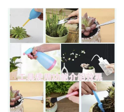 家庭养花用生根粉