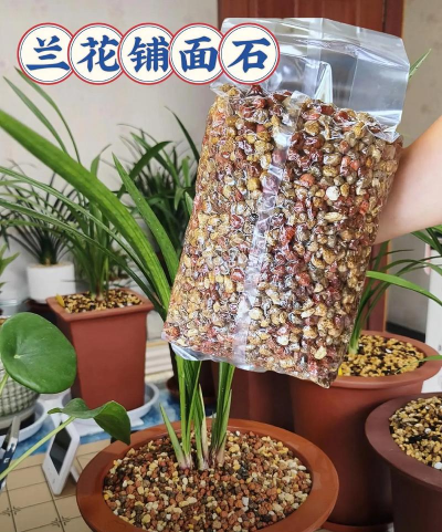 铺面石养花技巧