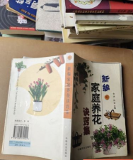 家庭养花用生根粉