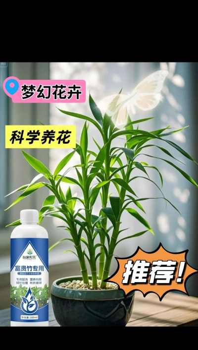 家庭养花用生根粉