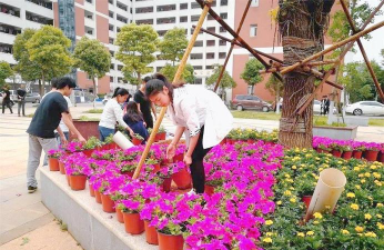 建独立学校养花