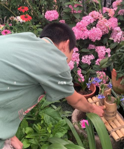 家庭养花用生根粉