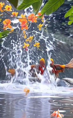 家庭养花用生根粉