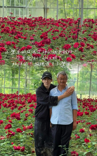 家庭养花用生根粉