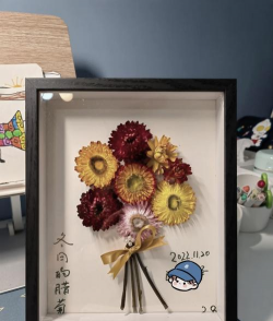 麦秆菊怎么做带杆子干花