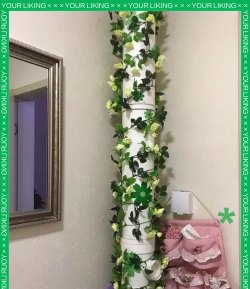 墙上钉管子养花