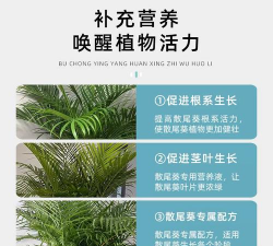 家庭养花用生根粉