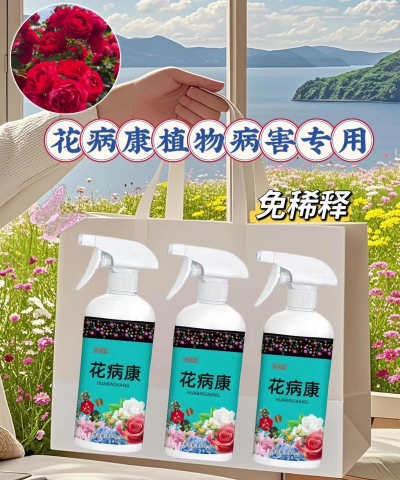 家庭养花用生根粉