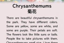 老舍养花的英文