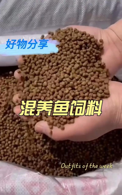 养花鲢鱼饲料