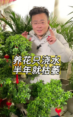 家庭养花用生根粉