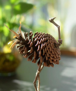 干松果能否养花