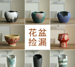 缺口花瓶怎么养花 缺口花瓶怎么养花