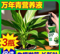 家庭养花用生根粉