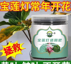 家庭养花用生根粉