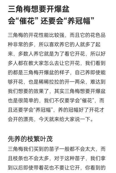 家庭养花用生根粉