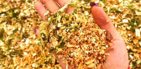 家庭养花用生根粉