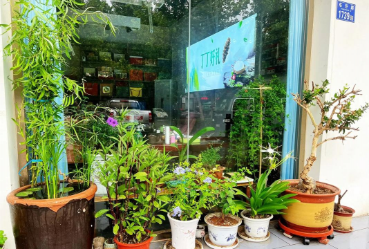 家庭养花用生根粉