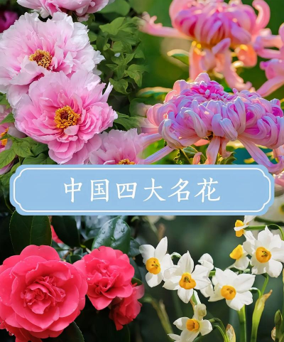 中国有什么花呢