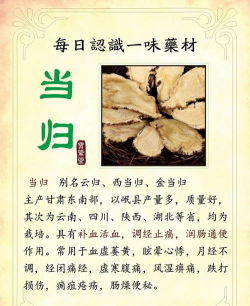 当归种什么作用