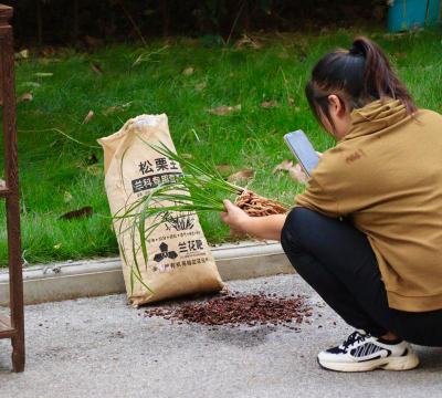 家庭养花用生根粉