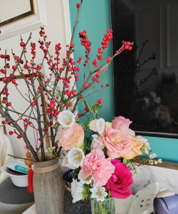 家庭养花用生根粉