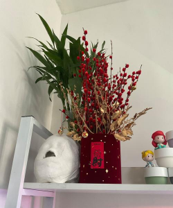 馒头小姐养花版