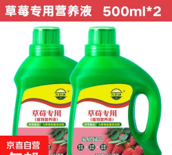 养花养草莓肥料